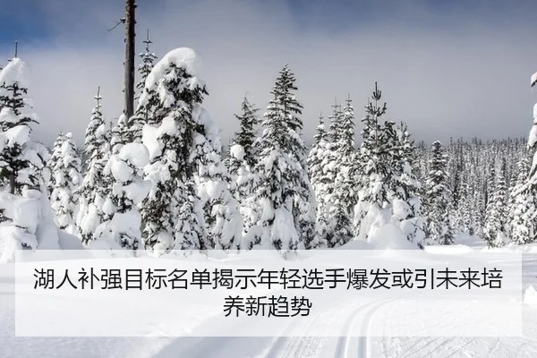 湖人补强目标名单揭示年轻选手爆发或引未来培养新趋势